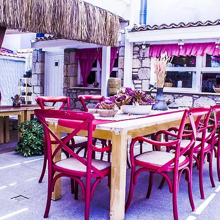 Guest house Fi̇li̇zce Konuk Evi