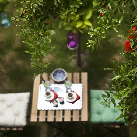 Fi̇li̇zce Konuk Evi Alacati