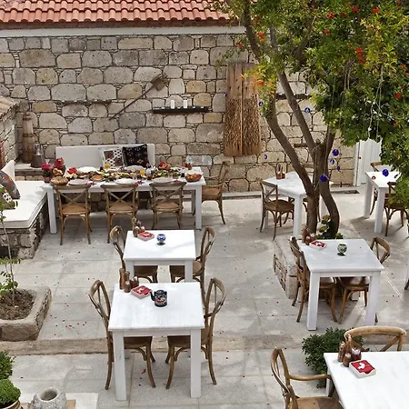 Pensiune Fi̇li̇zce Konuk Evi