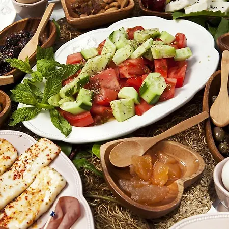 Fi̇li̇zce Konuk Evi Pensiune Alacati