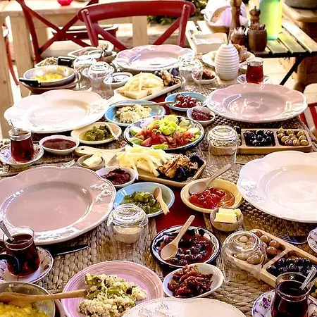 Fi̇li̇zce Konuk Evi *